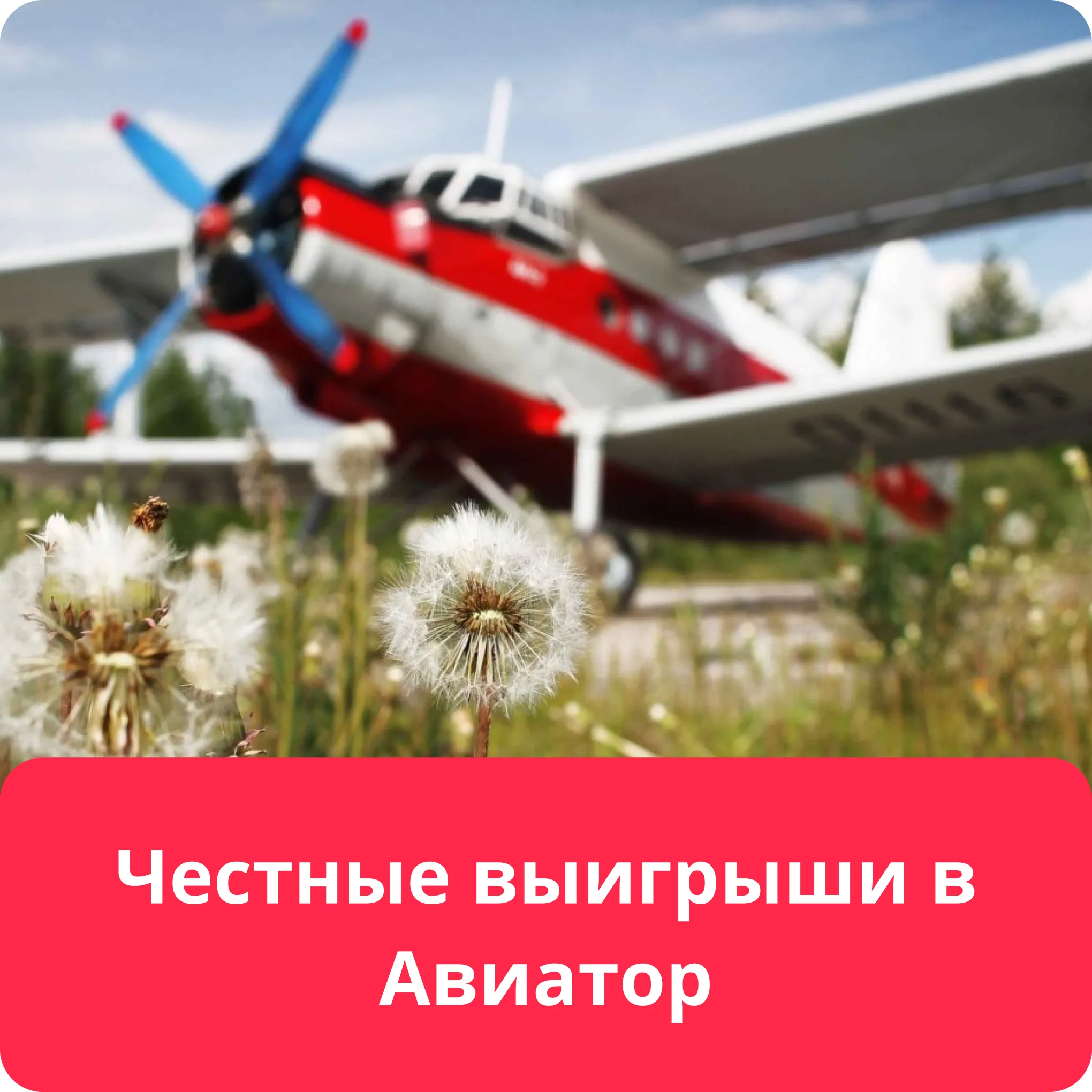 aviator